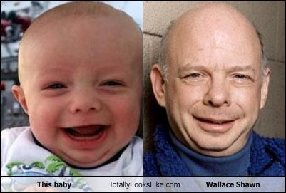 This-baby-totally-looks-like-wallace-shawn