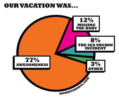 VACATIONpiechart