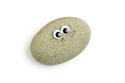 Make-pet-rock-800X800