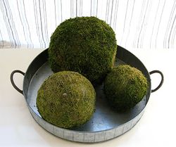 Moss+Balls