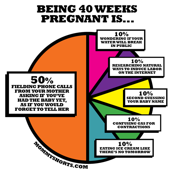 40 Weeks Pregnant: The Pie Chart