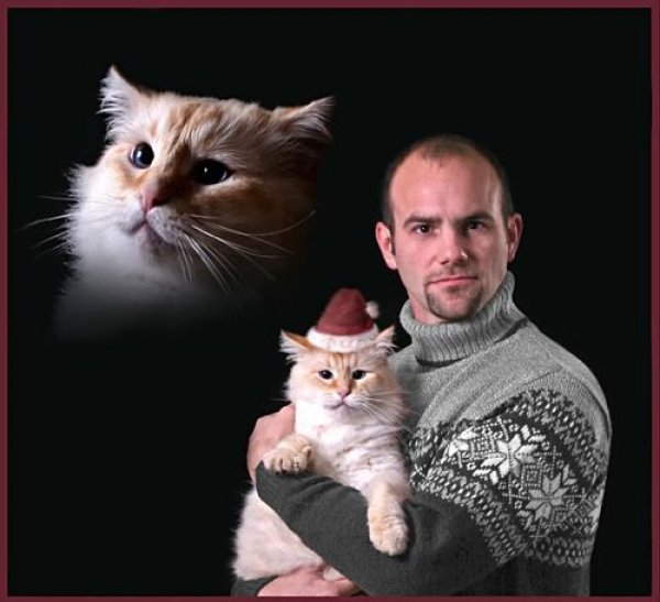 Snowflake_Sweater_Floating_Cat_Head_Cat_Family_Portrait