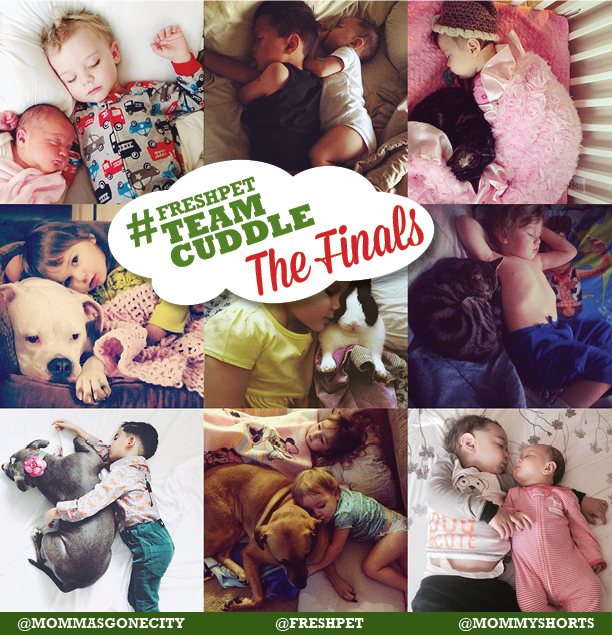 Team_cuddle_finals