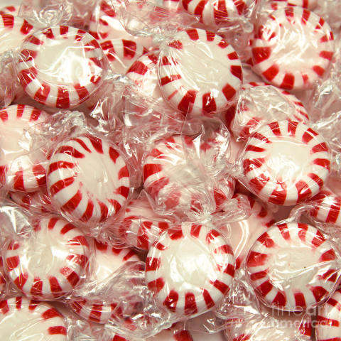 the-land-of-peppermint-candy-square-andee-photography