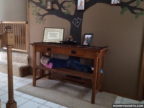 37 Photos that Prove Little Kids SUCK at Hide and Seek