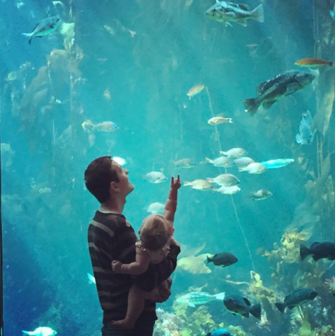 aquarium