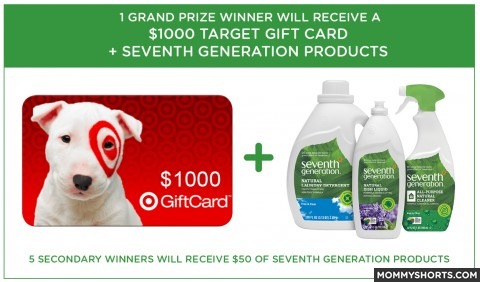 seventh Generation prize