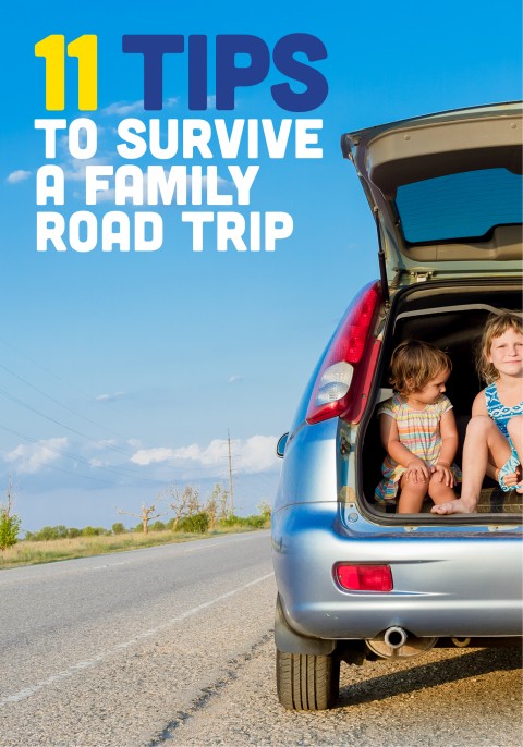the best family road trip tips