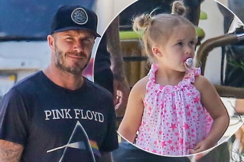 David-Beckham-Hits-Back-at-Critics-Over-DaughterGÇÖs-Pacifier