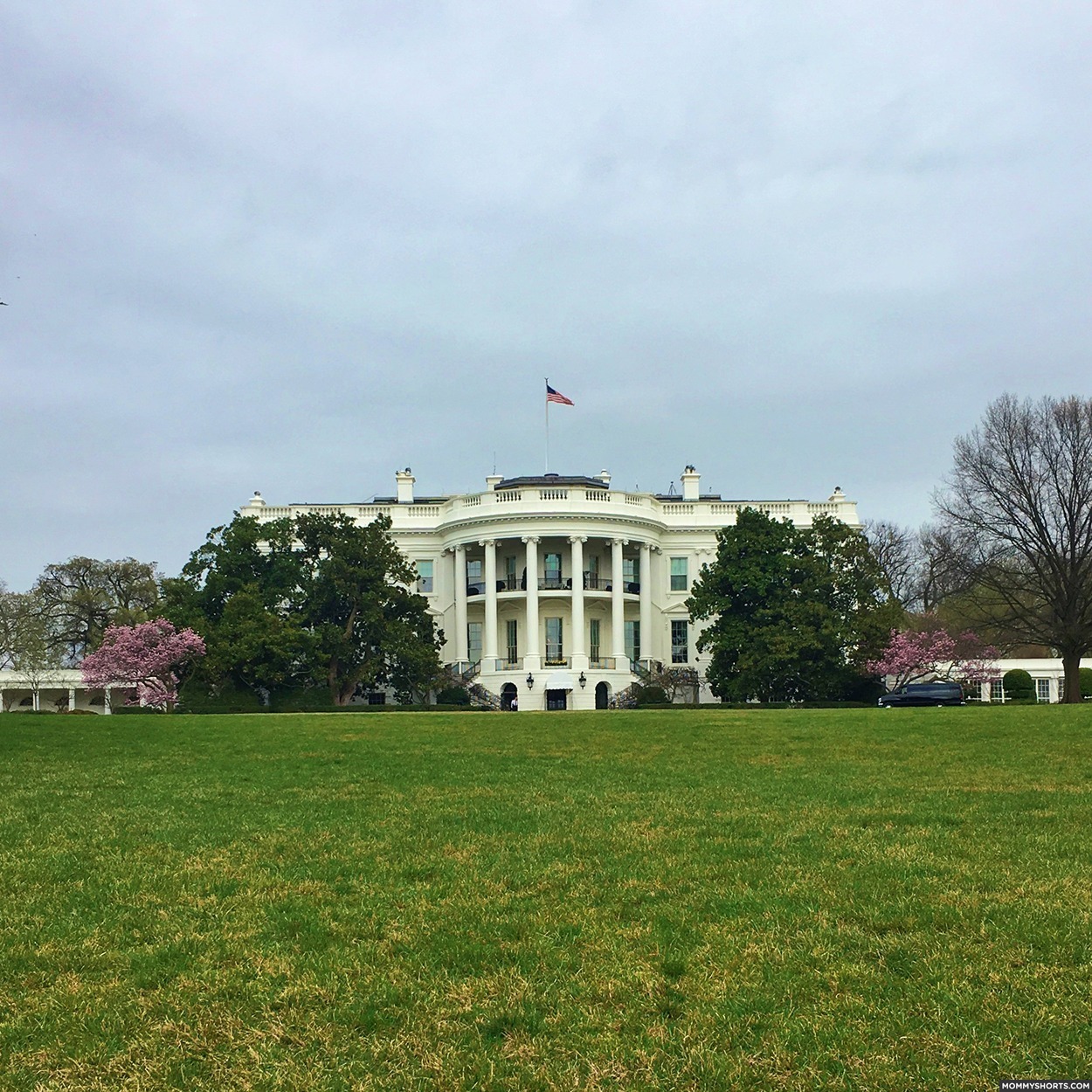 A Visit to the White House