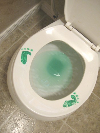 st-pattys-day-2012toilet